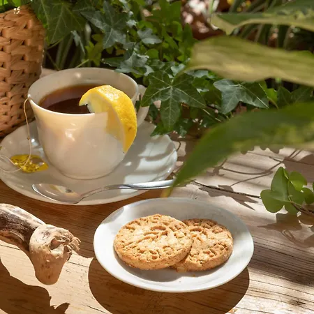 Alojamento de Acomodação e Pequeno-almoço La Volpina 3*